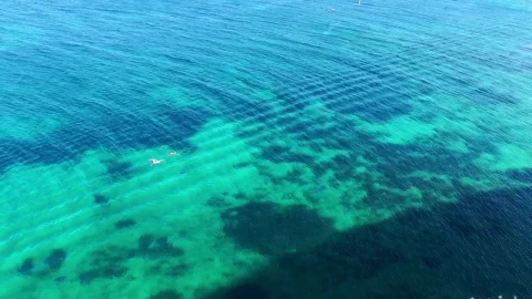 Stock Video Couple Swimming In A Clear Sea Live Wallpaper For PC - Free Live Wallpaper
