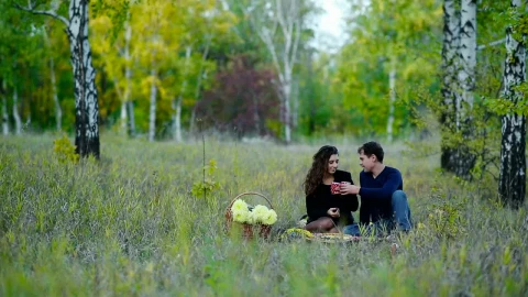 Stock Video Couple On A Picnic In The Middle Of Nature Live Wallpaper For PC - Free Live Wallpaper