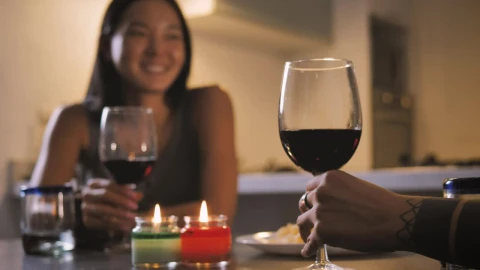 Stock Video Couple Of Women Making A Toast During A Dinner Live Wallpaper For PC - Free Live Wallpaper