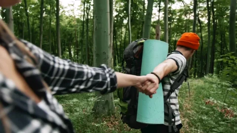 Stock Video Couple Of Explorers In The Forest Live Wallpaper For PC - Free Live Wallpaper