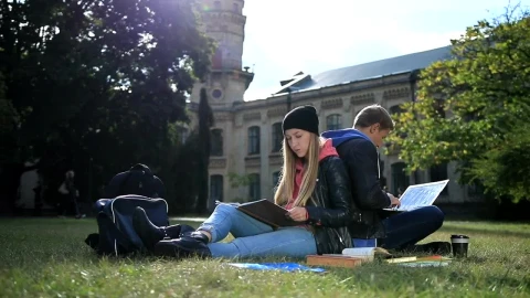 Stock Video Couple Learning Outside Live Wallpaper For PC - Free Live Wallpaper