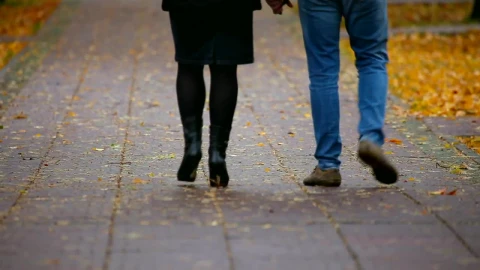 Stock Video Couple Holding Hands Walking In The Park Live Wallpaper For PC - Free Live Wallpaper