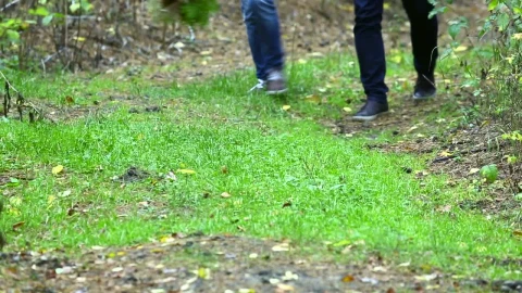 Stock Video Couple Holding Hands Walking In The Forest Live Wallpaper For PC - Free Live Wallpaper