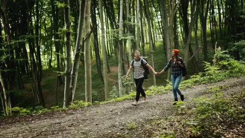 Stock Video Couple Hold Hands On Romantic Hike In Forest Live Wallpaper For PC - Free Live Wallpaper