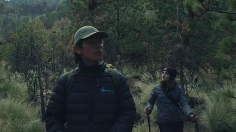 Stock Video Couple Exploring A Forest Live Wallpaper For PC - Free Live Wallpaper