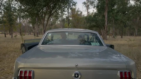 Stock Video Couple Appreciating A Forest On A Road Trip Live Wallpaper For PC - Free Live Wallpaper
