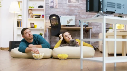 Stock Video Couple And Their Cat Watching Tv Live Wallpaper For PC - Free Live Wallpaper