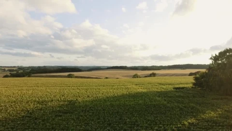 Stock Video Countryside Sunshine Live Wallpaper For PC - Free Live Wallpaper
