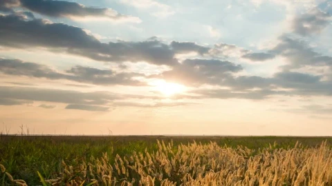 Stock Video Countryside Field At Sunset Time Lapse Live Wallpaper For PC - Free Live Wallpaper