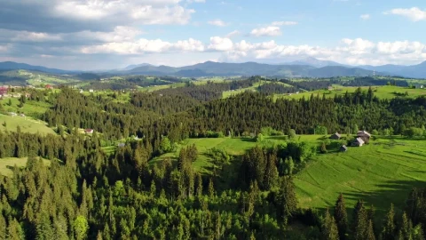 Stock Video Country Houses In The Middle Of The Forest Live Wallpaper For PC - Free Live Wallpaper