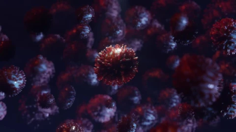 Stock Video Coronavirus Cells Spin In D Animation Live Wallpaper For PC - Free Live Wallpaper