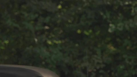 Stock Video Convertible Car Parked By A Forest Live Wallpaper For PC - Free Live Wallpaper