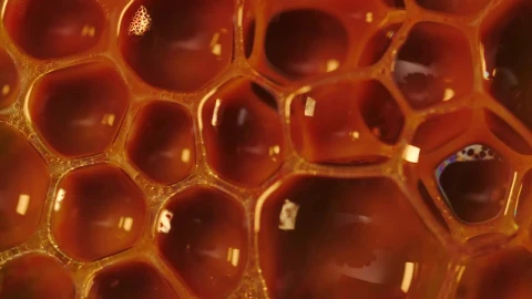 Stock Video Contaminated Liquid Texture Live Wallpaper For PC - Free Live Wallpaper