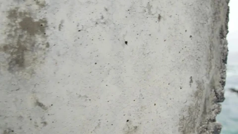 Stock Video Concrete Texture And Beach View With Rocks Live Wallpaper For PC - Free Live Wallpaper