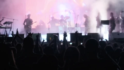 Stock Video Concert Seen From The Audience Live Wallpaper For PC - Free Live Wallpaper