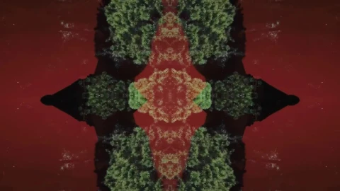 Stock Video Conceptual Nature Shot Live Wallpaper For PC - Free Live Wallpaper