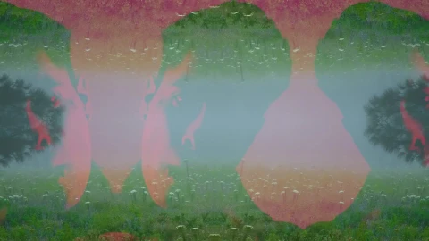 Stock Video Conceptual Nature Face Shot Live Wallpaper For PC - Free Live Wallpaper