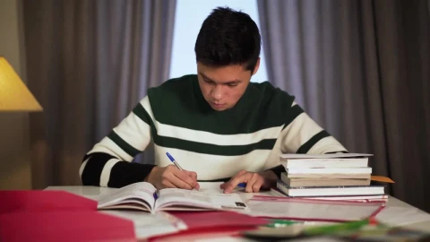 Stock Video Concentrated Boy Studying At Home Live Wallpaper For PC - Free Live Wallpaper