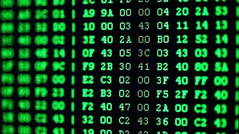 Stock Video Computational Digital Codes Live Wallpaper For PC - Free Live Wallpaper