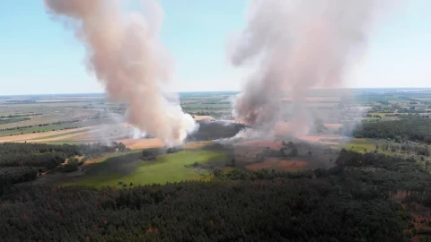 Stock Video Columns Of Smoke In A Forest Aerial Shot Live Wallpaper For PC - Free Live Wallpaper