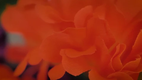 Stock Video Colorful Artificial Flowers Detail View Live Wallpaper For PC - Free Live Wallpaper