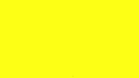 Stock Video Color Splash Transition Live Wallpaper For PC - Free Live Wallpaper