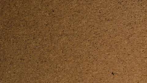 Stock Video Color And Texture Of A Wide Area Of Cork Live Wallpaper For PC - Free Live Wallpaper