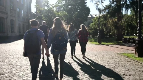 Stock Video College Kids On Campus Live Wallpaper For PC - Free Live Wallpaper