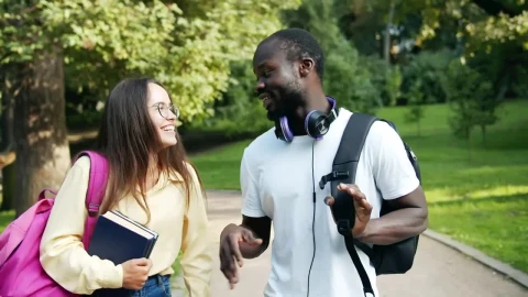 Stock Video College Classmates Talking At The Park Live Wallpaper For PC - Free Live Wallpaper