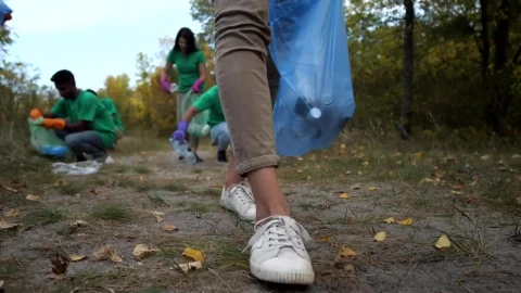 Stock Video Collecting Rubbish Left In A Forest Live Wallpaper For PC - Free Live Wallpaper