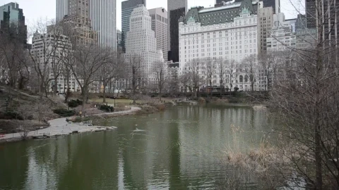 Stock Video Cold Morning In A City Park Live Wallpaper For PC - Free Live Wallpaper