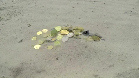 Stock Video Coins Buried In The Sand Live Wallpaper For PC - Free Live Wallpaper