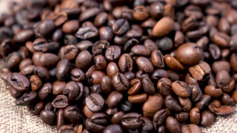 Stock Video Coffee Beans Rotating Live Wallpaper For PC - Free Live Wallpaper