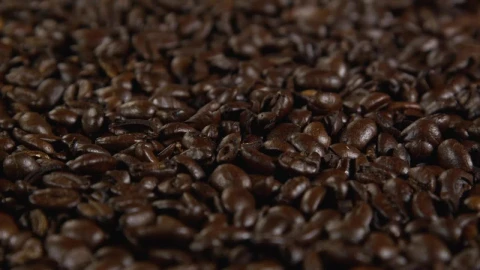 Stock Video Coffee Beans Ready For Brewing Live Wallpaper For PC - Free Live Wallpaper