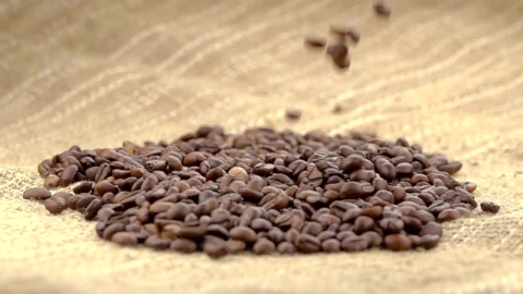 Stock Video Coffee Beans Falling Over A Sack Live Wallpaper For PC - Free Live Wallpaper