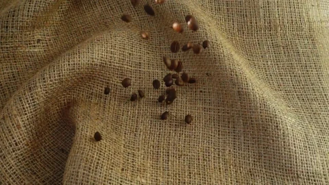 Stock Video Coffee Beans Filling A Sack Top View Live Wallpaper For PC - Free Live Wallpaper