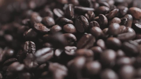 Stock Video Coffee Beans Falling On A Layer Of More Beans Live Wallpaper For PC - Free Live Wallpaper