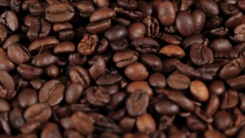 Stock Video Coffee Beans Falling In Reverse Live Wallpaper For PC - Free Live Wallpaper