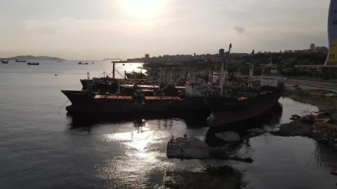 Stock Video Coastline Packed With Cargo Ships And Seagulls Live Wallpaper For PC - Free Live Wallpaper