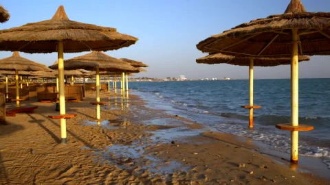 Stock Video Coastal Resort Umbrellas Live Wallpaper For PC - Free Live Wallpaper