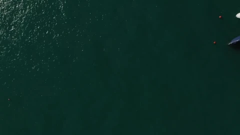 Stock Video Coastal Houses By A Road Live Wallpaper For PC - Free Live Wallpaper