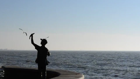 Stock Video Coast With A Statue Birds And Sea Waves Live Wallpaper For PC - Free Live Wallpaper