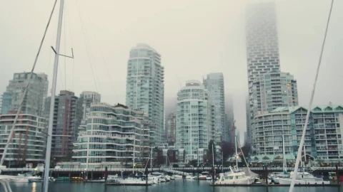 Stock Video Coast In A City Covered By Fog Live Wallpaper For PC - Free Live Wallpaper