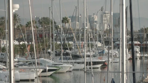 Stock Video Coast Covered By Masts Boats And Small Yachts Live Wallpaper For PC - Free Live Wallpaper