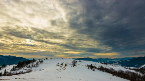Stock Video Cloudy Day In A Winter Forest Live Wallpaper For PC - Free Live Wallpaper