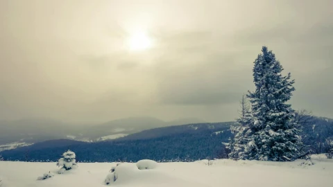 Stock Video Cloudy And Foggy Landscape While Snowing Live Wallpaper For PC - Free Live Wallpaper