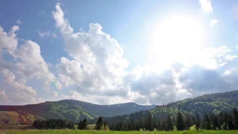 Stock Video Clouds Traveling Over A Pine Forest Live Wallpaper For PC - Free Live Wallpaper