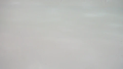 Stock Video Falling Cauliflowers Live Wallpaper For PC - Free Live Wallpaper