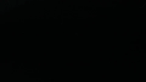 Stock Video Falling Carrot Slices Live Wallpaper For PC - Free Live Wallpaper