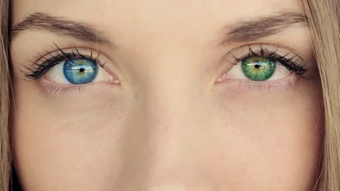 Stock Video Eyes Of A Woman Of Different Colors Heterochromia Live Wallpaper For PC - Free Live Wallpaper